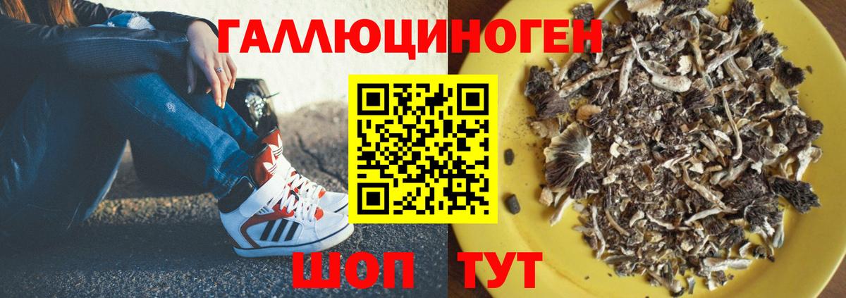 Псилоцибиновые грибы мицелий  Вход с VPN  Кузнецк 